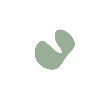 98d8a608-placeholder-1768562320