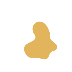 2f0a9c52-placeholder-1770021522