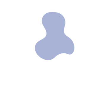 593968ed-placeholder-1768562317