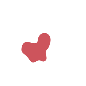 992f93ee-placeholder-1770007883