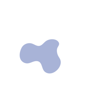 D30d1fe7-placeholder-1768562318