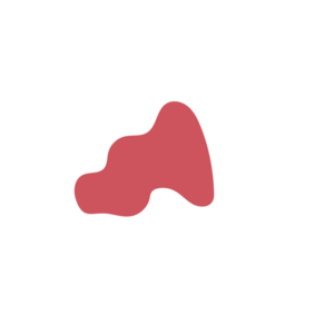 71ebf59e-placeholder-1770012298