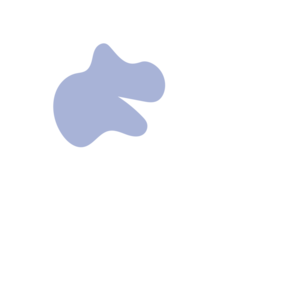 47e74e76-placeholder-1768562317