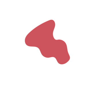 9973b325-placeholder-1770055125