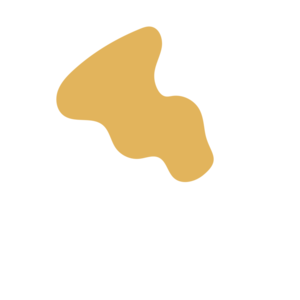 Fa92c2fe-placeholder-1768562316