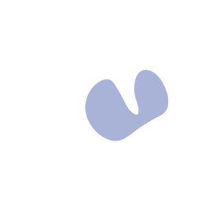 0ce9b966-placeholder-1770011461