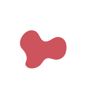 9dd8cf76-placeholder-1769996982