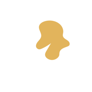 Cac1b2b1-placeholder-1768562315