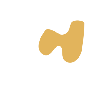 31906e03-placeholder-1768562314