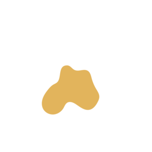 A809196f-placeholder-1768562314