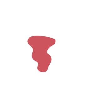 Bc736b42-placeholder-1770048270