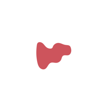 77ef8565-placeholder-1770053122