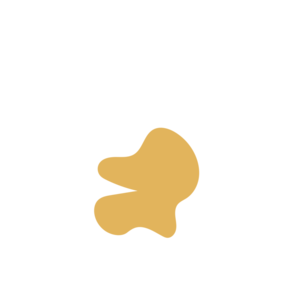 55930eec-placeholder-1768562313