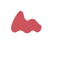 A92968b7-placeholder-1770032453