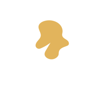 9a6074b9-placeholder-1768561840