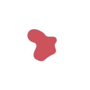 336d157a-placeholder-1768561839