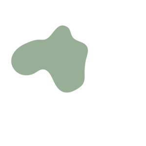 Bf2dc0e2-placeholder-1770033966