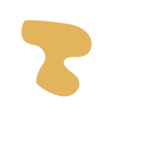 C787d35e-placeholder-1772619886