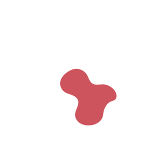 463a02bd-placeholder-1770049475