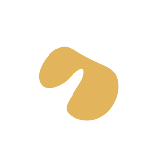 2e66a8fb-placeholder-1769467464