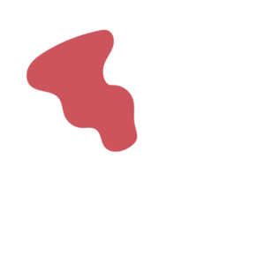 1b38da1e-placeholder-1768561833