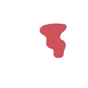 36b4654e-placeholder-1768561830