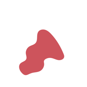 4e4bda62-placeholder-1768561831