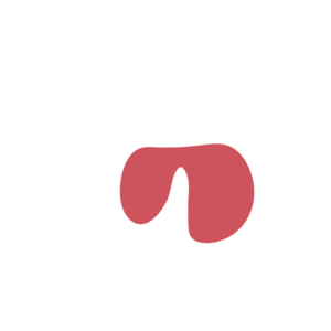 C1a10851-placeholder-1768561830