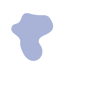 7e41fd5e-placeholder-1768561827