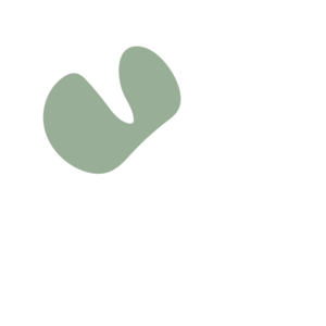 81eeb26f-placeholder-1770006718