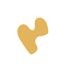 536f0340-placeholder-1768561828