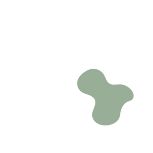 3dbb7153-placeholder-1768561828