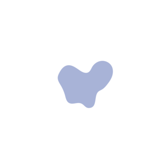 B6e2ecff-placeholder-1770032494