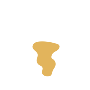 0b58796d-placeholder-1770006743