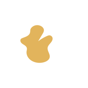 E3a953a9-placeholder-1770007078