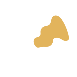 745cd59c-placeholder-1770020761