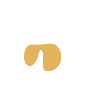 B63826f7-placeholder-1770020877