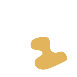 15ba97c8-placeholder-1770008133