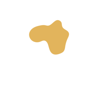 E867334f-placeholder-1770053209