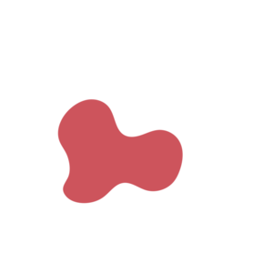 98c8f52f-placeholder-1768561825