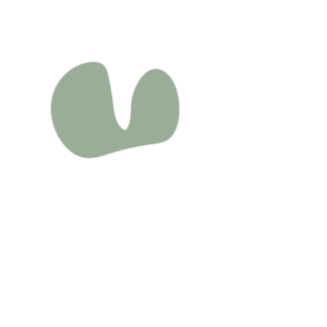 7a317c98-placeholder-1768561823