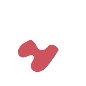 323c0961-placeholder-1770018004