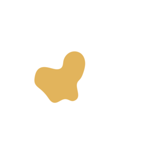 0998163a-placeholder-1774095015