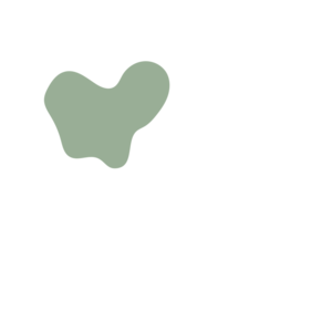 Cc6d43db-placeholder-1769018230