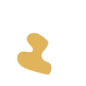 129f9979-placeholder-1769462685