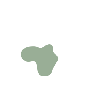 89b2006a-placeholder-1769384659