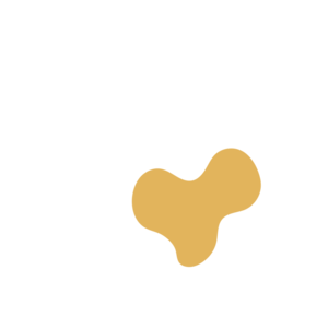 9aea95c5-placeholder-1769132996