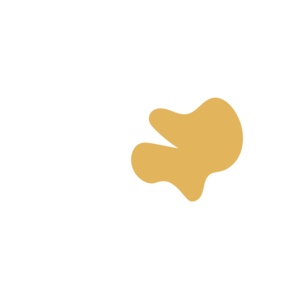 A75db6cd-placeholder-1769462685