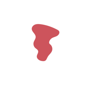 Bd83a3fd-placeholder-1769462686