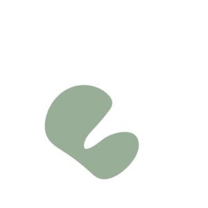 281683d0-placeholder-1770019475